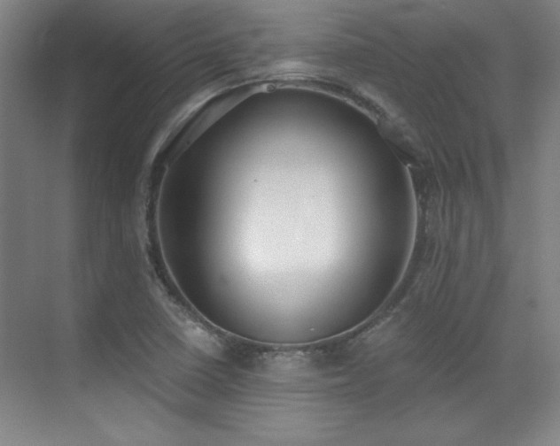 X0000071941410200607071132