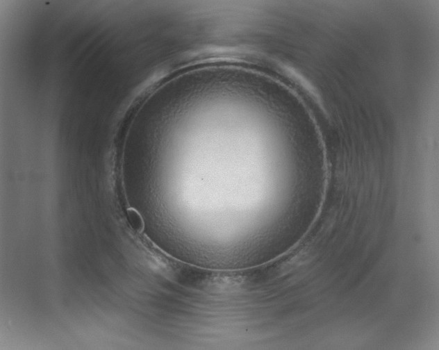 X0000071941411200607071132