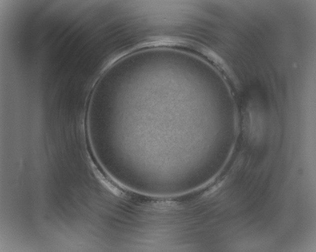 X0000071941417200607071132