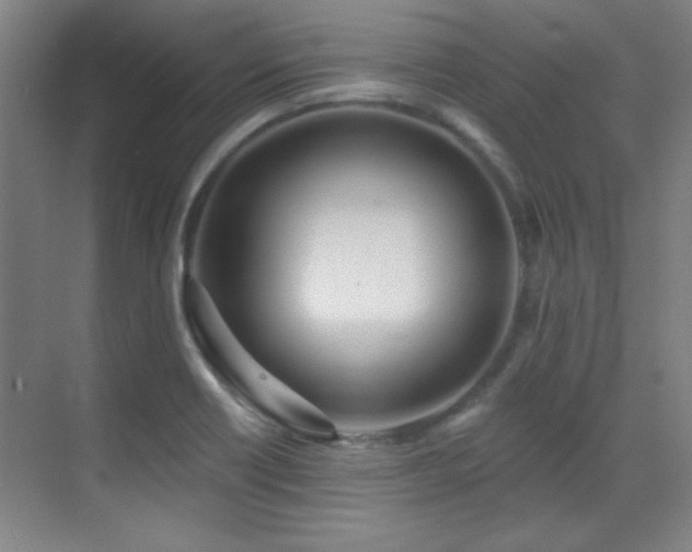 X0000071941418200607071132
