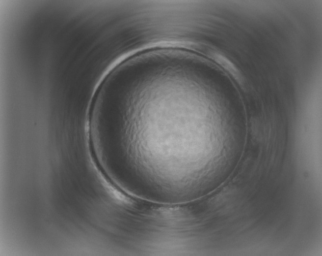 X0000071941428200607071132