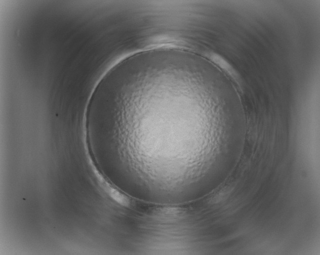 X0000071941431200607071132