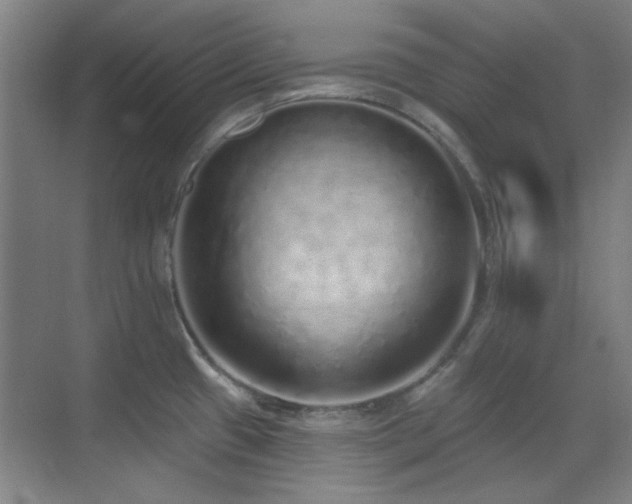 X0000071941433200607071132