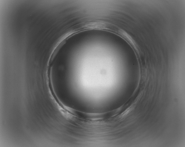 X0000071941434200607071132