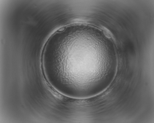 X0000071941435200607071132