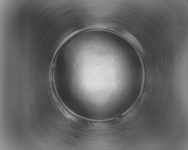 X0000071941436200607071132