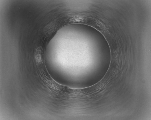 X0000071941442200607071132