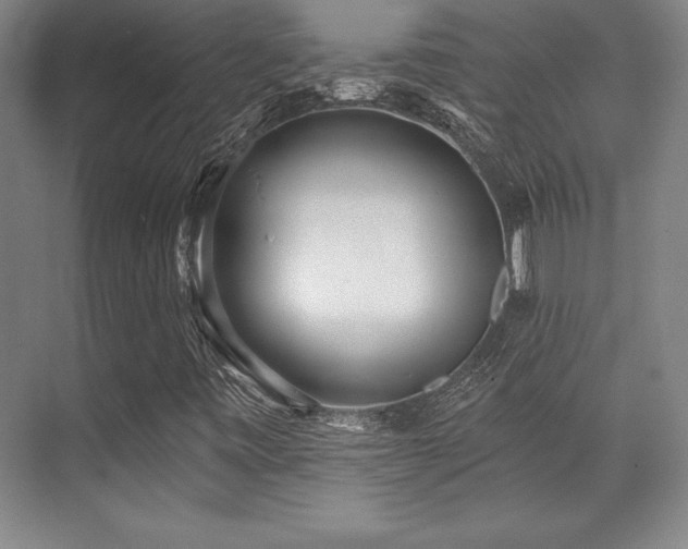 X0000071941443200607071132