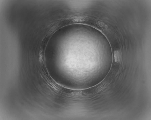 X0000071941444200607071132
