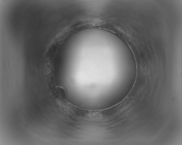 X0000071941447200607071132