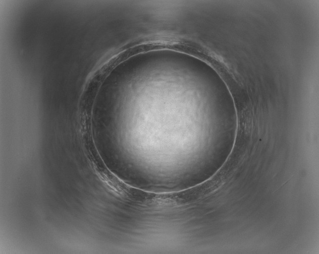 X0000071941448200607071132