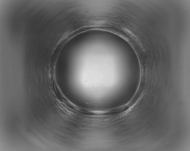 X0000071941449200607071132