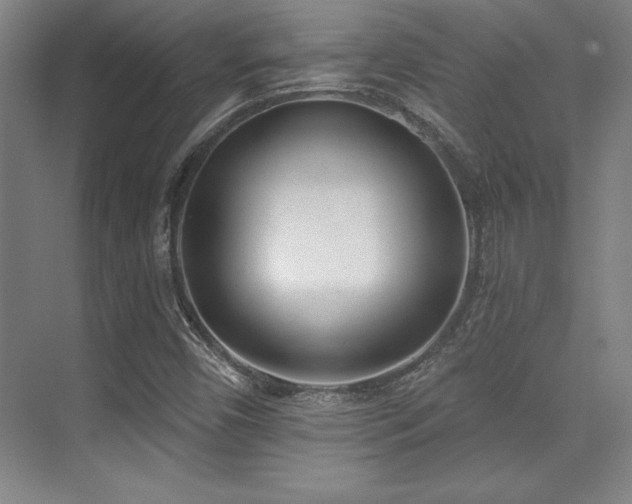 X0000071941450200607071132