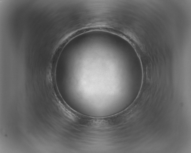 X0000071941452200607071132