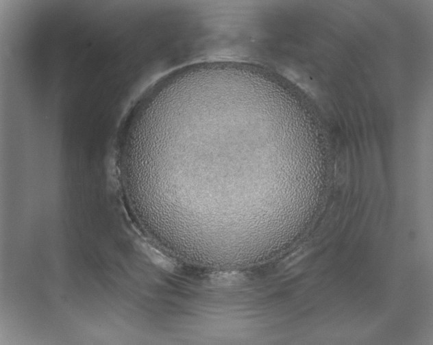X0000071941454200607071132