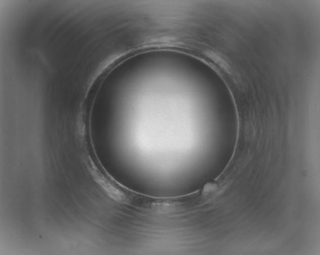 X0000071941458200607071131