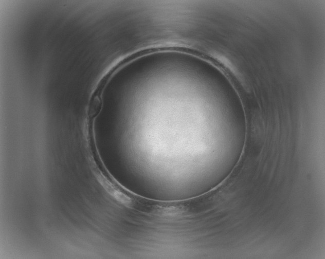 X0000071941460200607071131