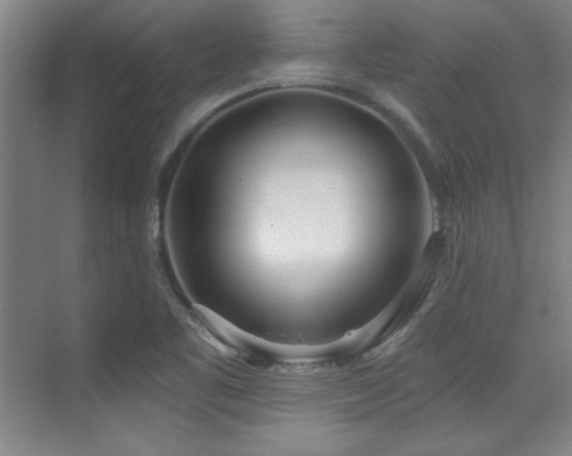 X0000071941461200607071131