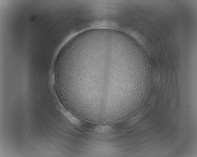 X0000071941462200607071131