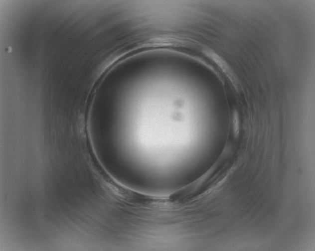 X0000071941465200607071131