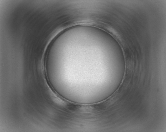 X0000071941466200607071131