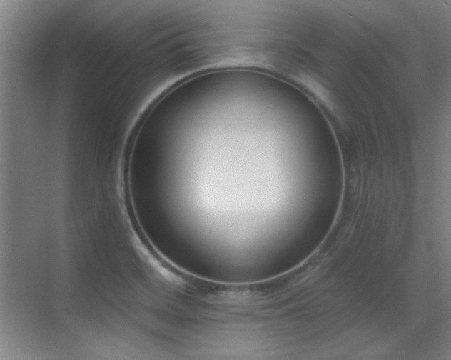 X0000071941468200607071131