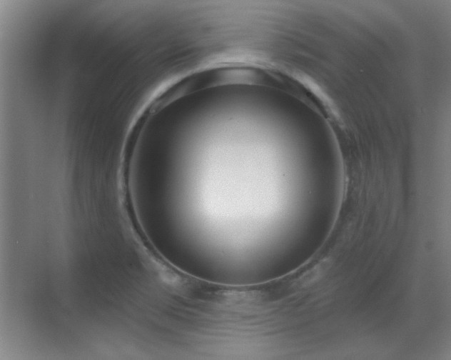 X0000071941469200607071131