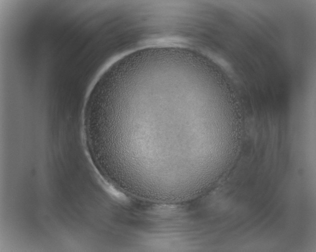 X0000071941470200607071131