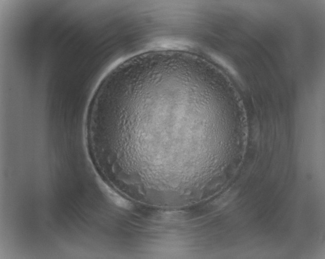 X0000071941471200607071131