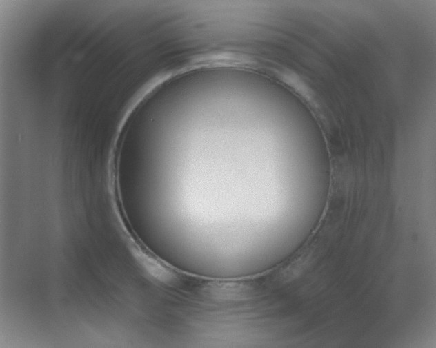 X0000071941474200607071131