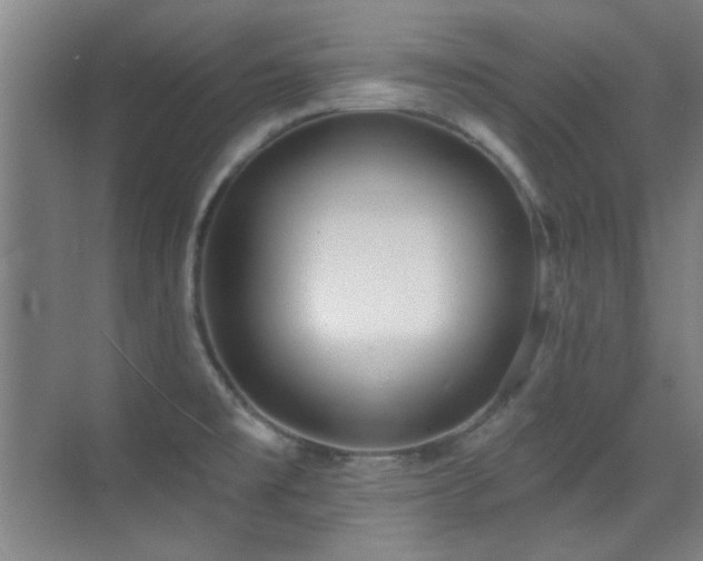 X0000071941477200607071131