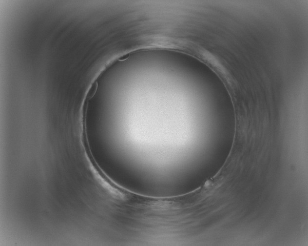 X0000071941479200607071131