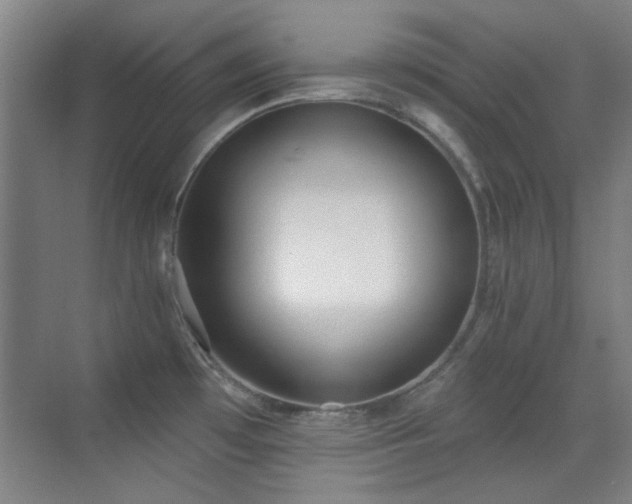 X0000071941481200607071131