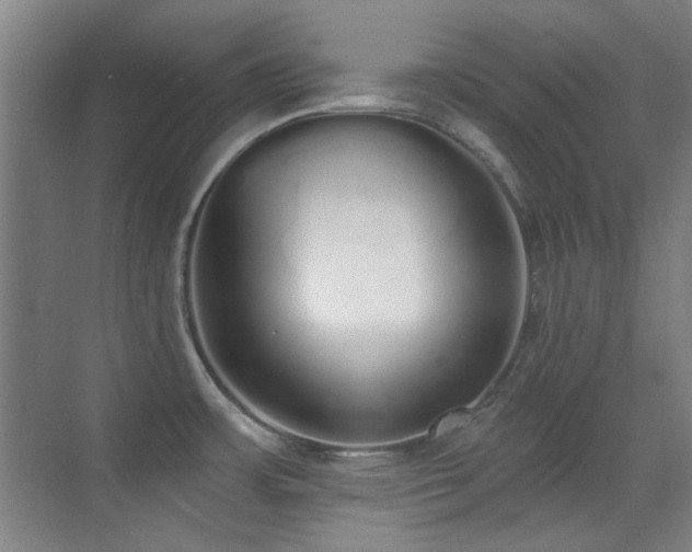 X0000071941483200607071131