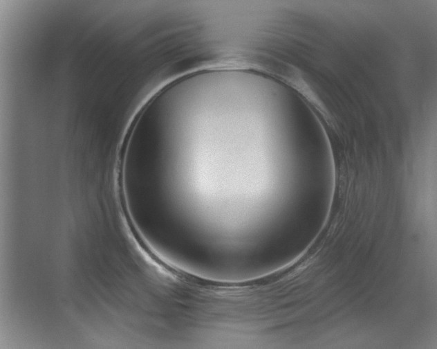 X0000071941484200607071131