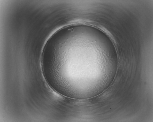 X0000071941486200607071131