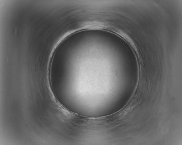 X0000071941488200607071131