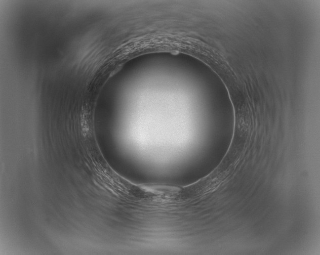 X0000071941490200607071130