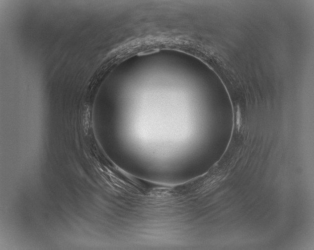 X0000071941492200607071130