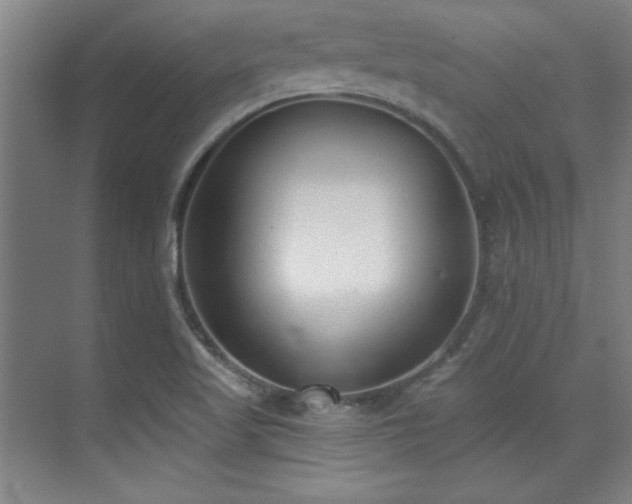 X0000071941509200607071130