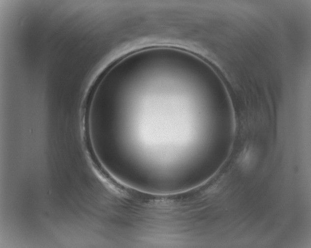 X0000071941511200607071130