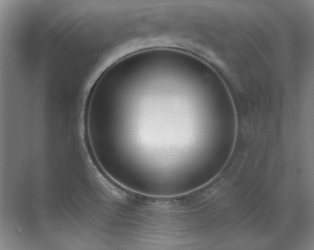 X0000071941512200607071131