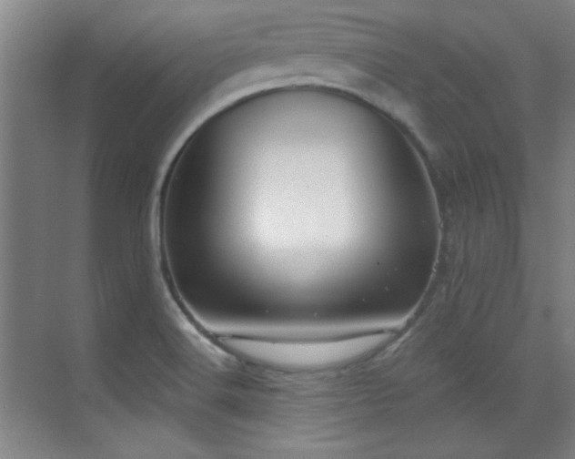 X0000071941516200607071131