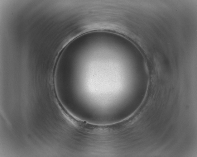 X0000071941521200607071131