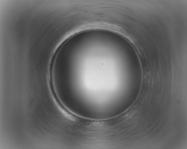 X0000071941523200607071131