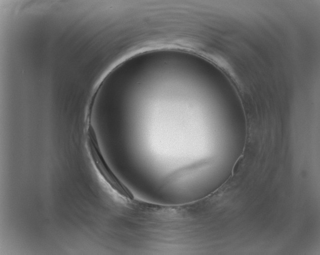 X0000071941524200607071131