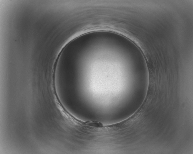 X0000071941534200607071131