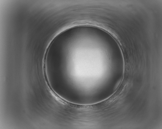 X0000071941535200607071131