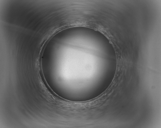 X0000071940002200607141445