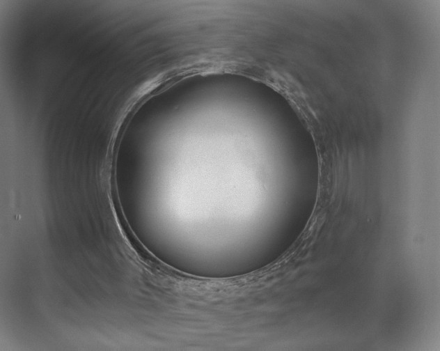 X0000071940003200607141445